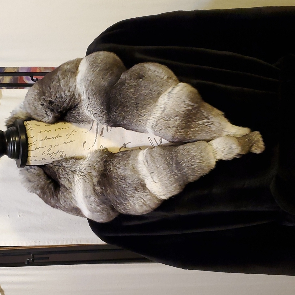 Elegant Short Sheared Black Mink Stroller natural Chinchilla fur color Collar